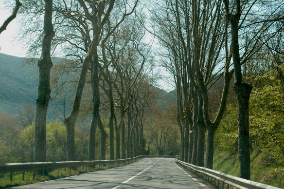 Driving towards Limoux