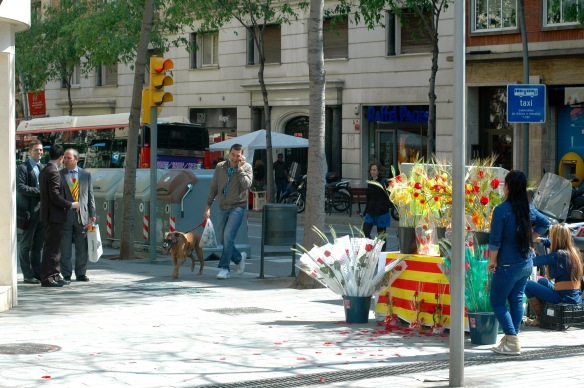 plaza Bonanova and Muntaner street
